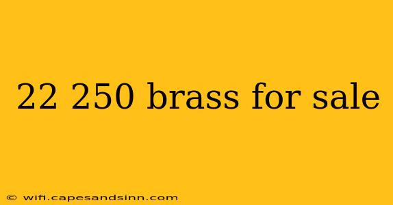 22 250 brass for sale