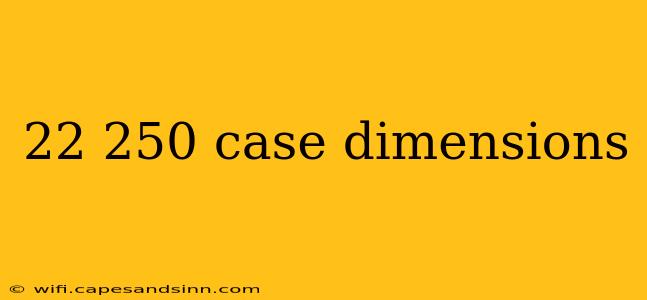 22 250 case dimensions