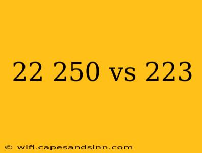 22 250 vs 223