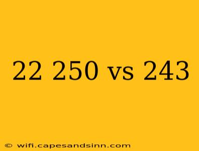 22 250 vs 243