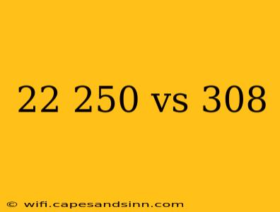 22 250 vs 308