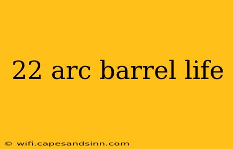 22 arc barrel life