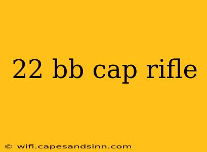 22 bb cap rifle