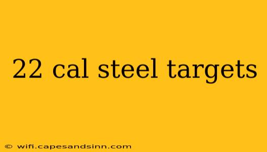 22 cal steel targets