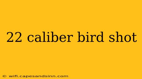 22 caliber bird shot