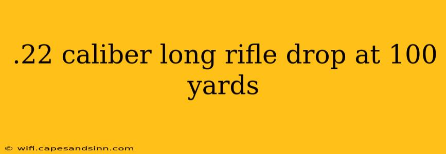 .22 caliber long rifle drop at 100 yards