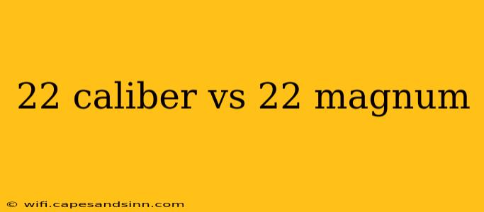 22 caliber vs 22 magnum