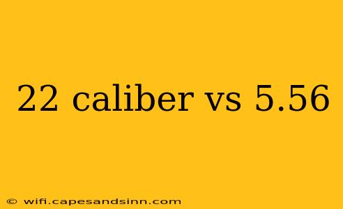 22 caliber vs 5.56