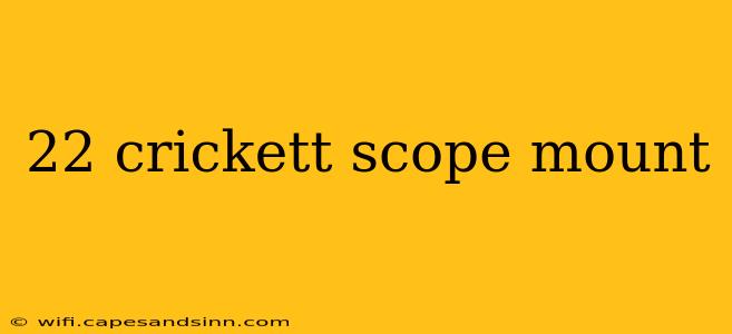 22 crickett scope mount