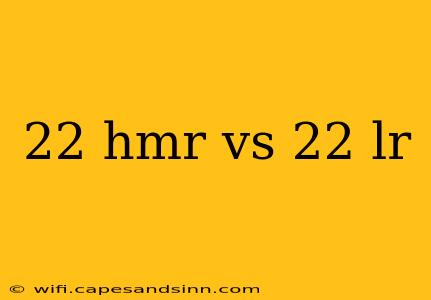 22 hmr vs 22 lr