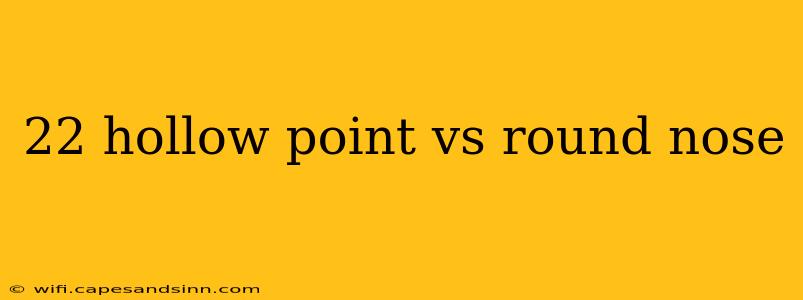 22 hollow point vs round nose