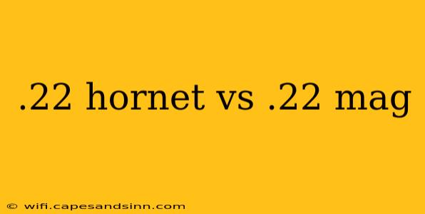 .22 hornet vs .22 mag