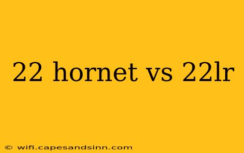 22 hornet vs 22lr