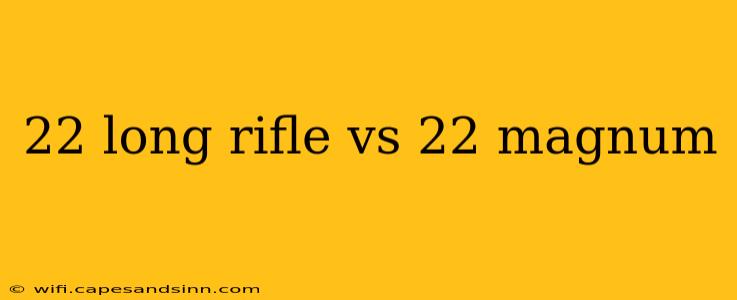 22 long rifle vs 22 magnum