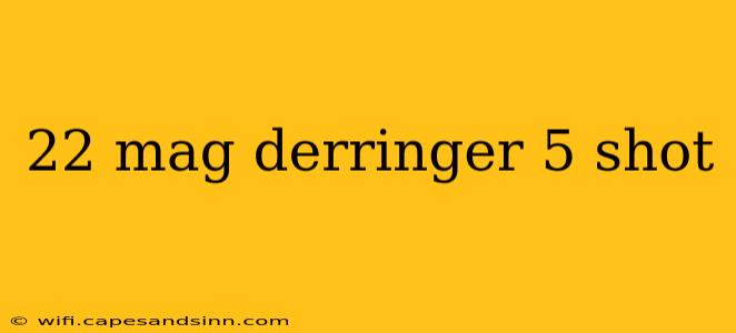 22 mag derringer 5 shot