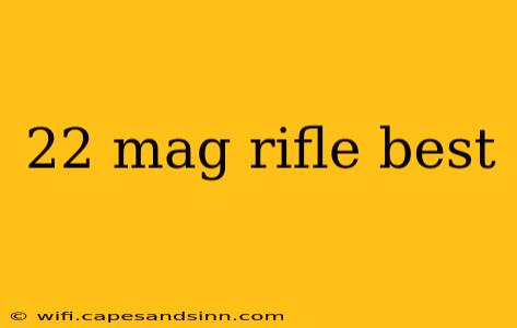 22 mag rifle best