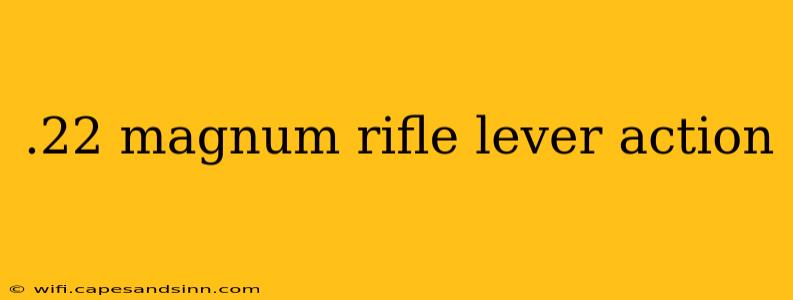 .22 magnum rifle lever action