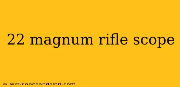 22 magnum rifle scope