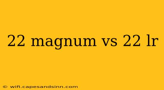 22 magnum vs 22 lr