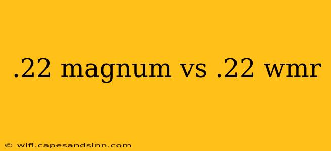 .22 magnum vs .22 wmr