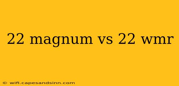 22 magnum vs 22 wmr