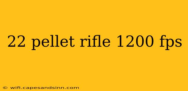 22 pellet rifle 1200 fps