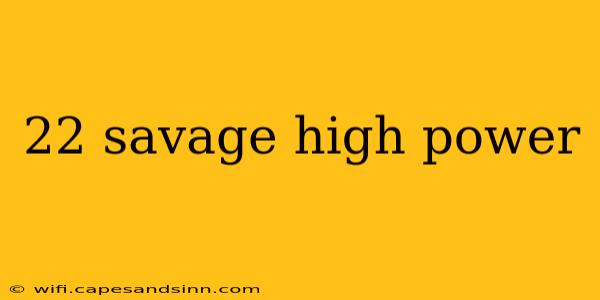 22 savage high power