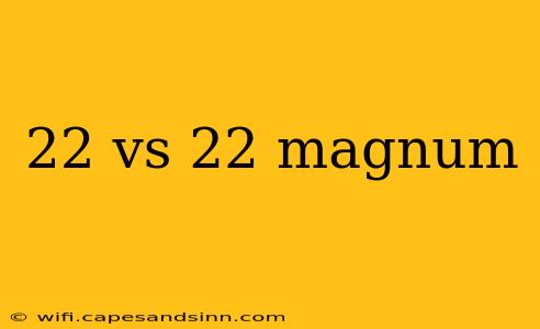 22 vs 22 magnum