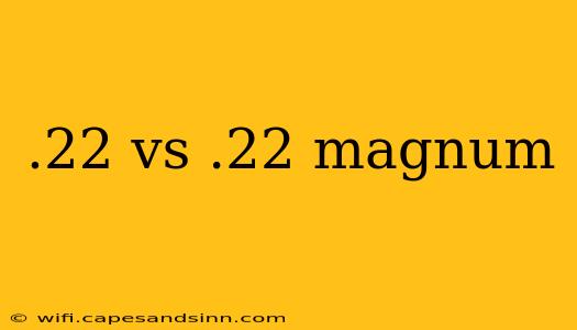 .22 vs .22 magnum