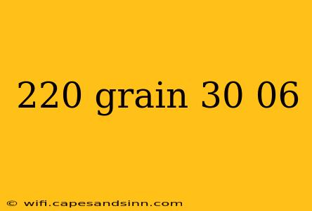 220 grain 30 06