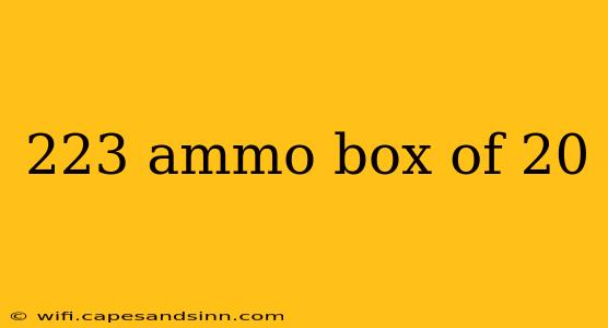 223 ammo box of 20