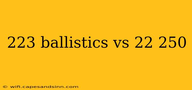 223 ballistics vs 22 250