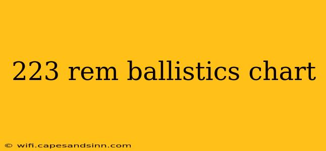 223 rem ballistics chart