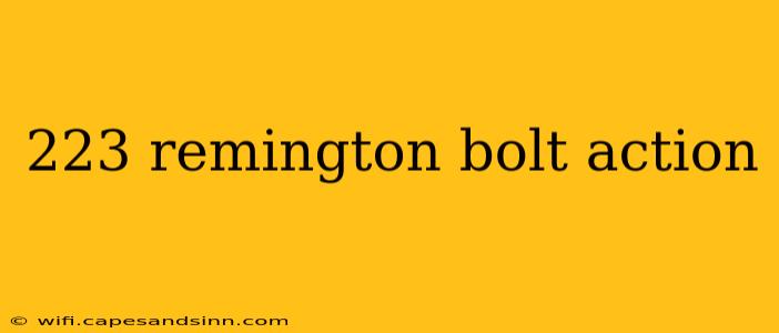 223 remington bolt action