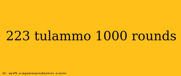 223 tulammo 1000 rounds