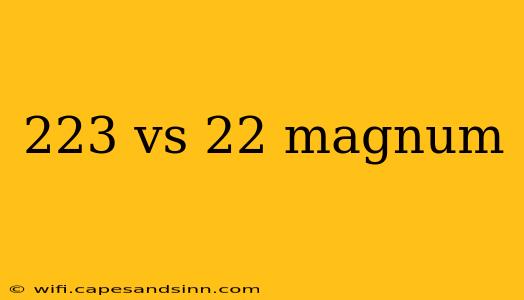 223 vs 22 magnum