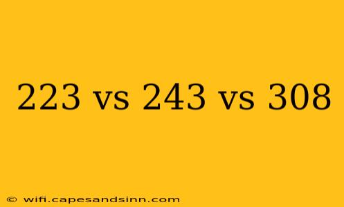 223 vs 243 vs 308