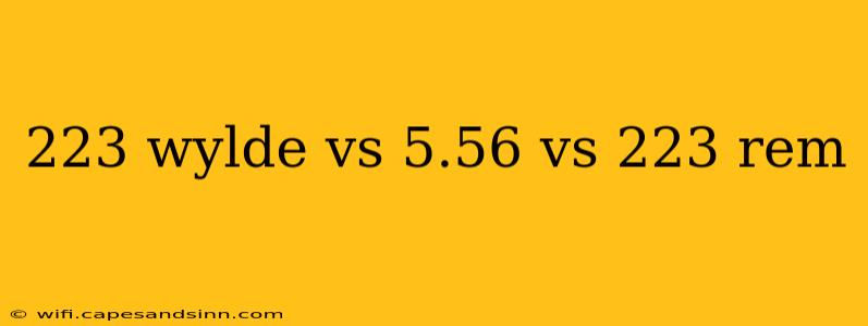 223 wylde vs 5.56 vs 223 rem