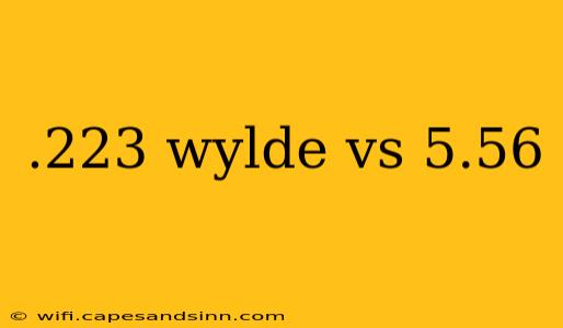 .223 wylde vs 5.56