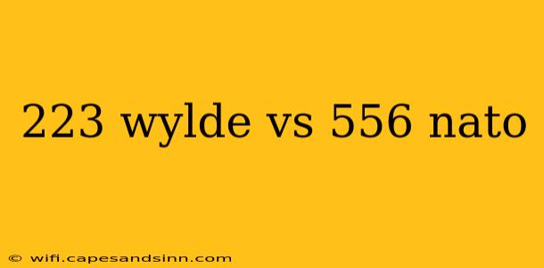 223 wylde vs 556 nato