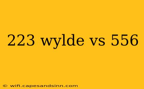 223 wylde vs 556