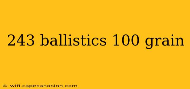 243 ballistics 100 grain