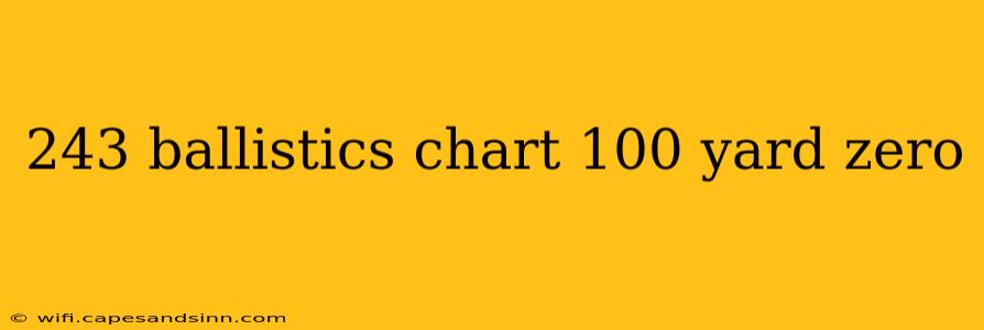 243 ballistics chart 100 yard zero