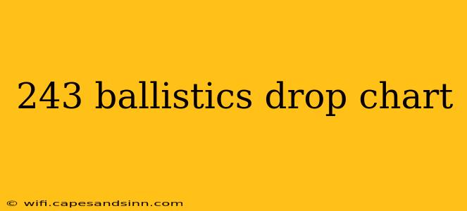 243 ballistics drop chart