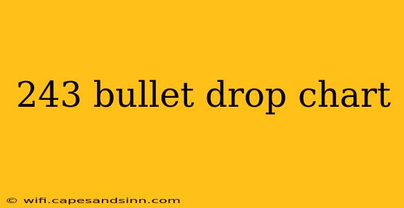 243 bullet drop chart