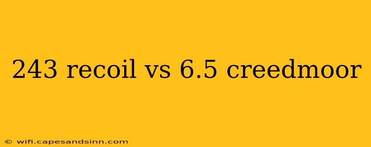 243 recoil vs 6.5 creedmoor