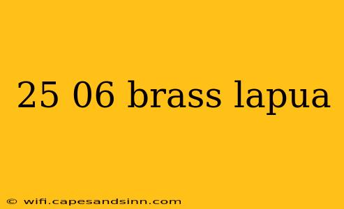 25 06 brass lapua