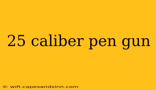 25 caliber pen gun