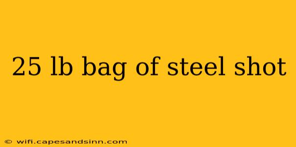 25 lb bag of steel shot