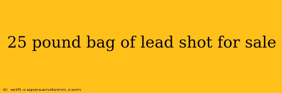 25 pound bag of lead shot for sale